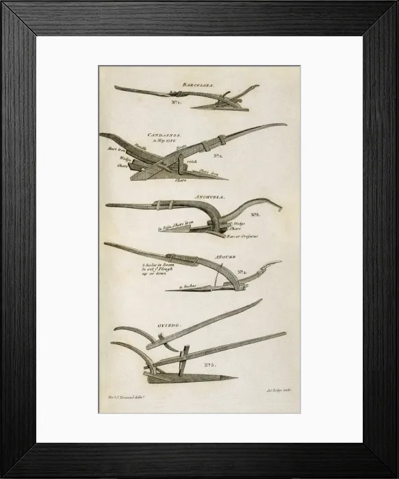 Framed Print : Spanish ploughs, picture from the Joseph Townsend s Framed Print : Spanish ploughs, picture from the Joseph Townsend s