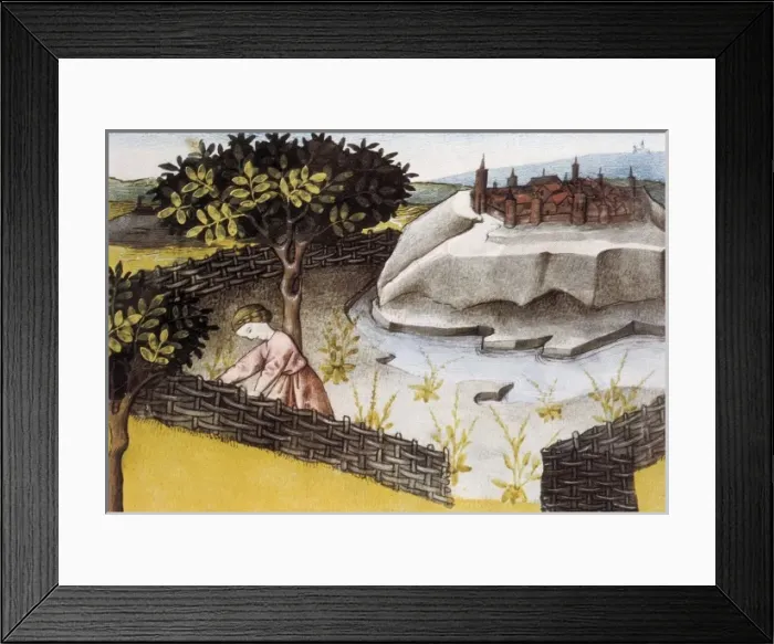 Framed Print : THOMAS of Cantimpr頨1201-1276). Codex Granatensis Framed Print : THOMAS of Cantimpr頨1201-1276). Codex Granatensis