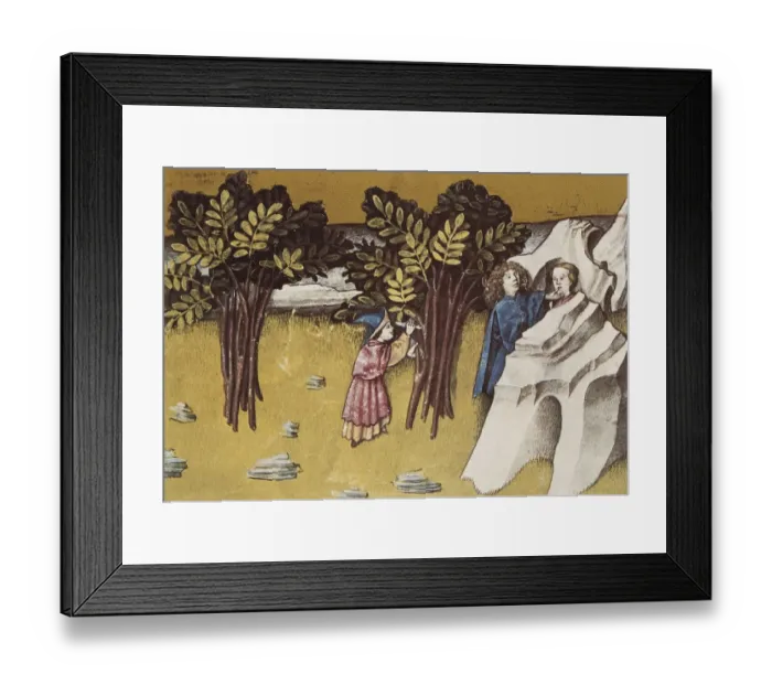 Framed Print : THOMAS of Cantimpr頨1201-1276). Codex Granatensis Framed Print : THOMAS of Cantimpr頨1201-1276). Codex Granatensis