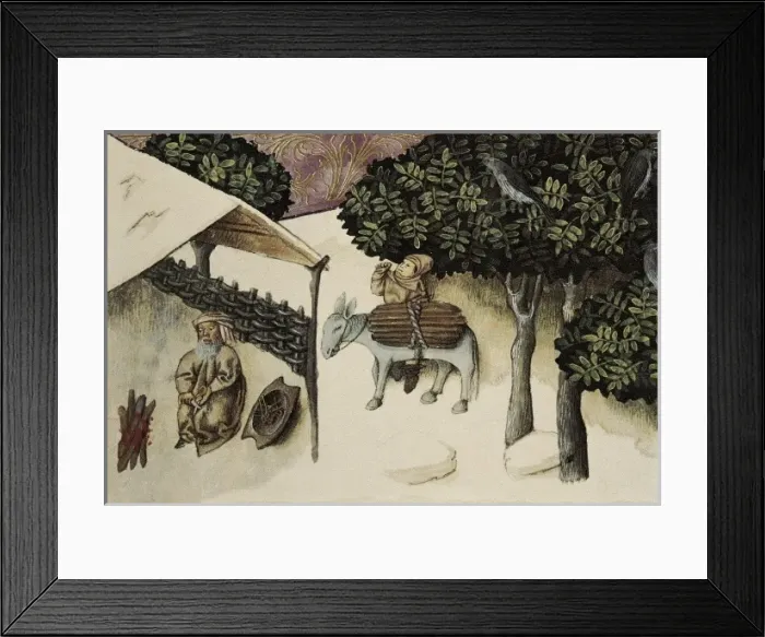 Framed Print : THOMAS of Cantimpr頨1201-1276). Codex Granatensis Framed Print : THOMAS of Cantimpr頨1201-1276). Codex Granatensis