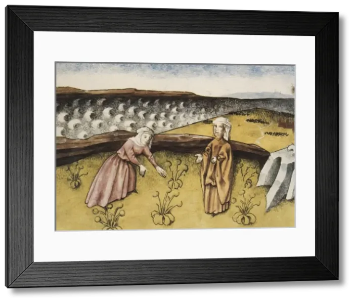 Framed Print : THOMAS of Cantimpr頨1201-1276). Codex Granatensis Framed Print : THOMAS of Cantimpr頨1201-1276). Codex Granatensis