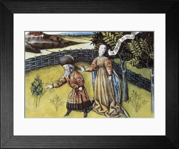 Framed Print : THOMAS of Cantimpr頨1201-1276). Codex Granatensis Framed Print : THOMAS of Cantimpr頨1201-1276). Codex Granatensis