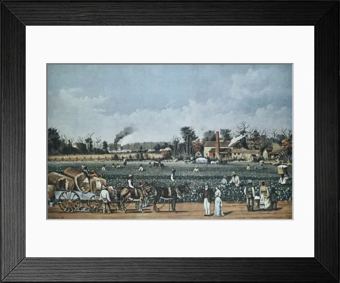 Framed Print : United States (s. XIX). Econom Framed Print : United States (s. XIX). Econom