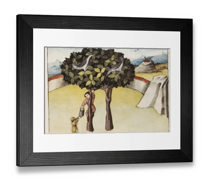 Framed Print : THOMAS of Cantimpr頨1201-1276). Codex Granatensis Framed Print : THOMAS of Cantimpr頨1201-1276). Codex Granatensis