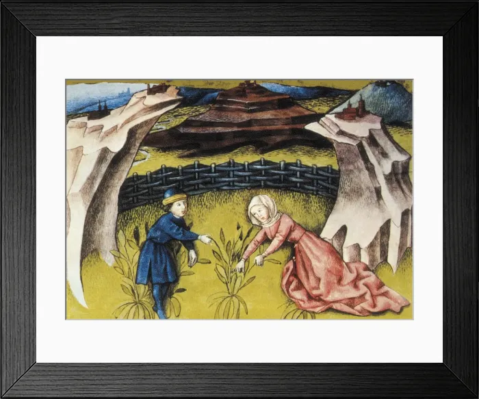 Framed Print : THOMAS of Cantimpr頨1201-1276). Codex Granatensis Framed Print : THOMAS of Cantimpr頨1201-1276). Codex Granatensis