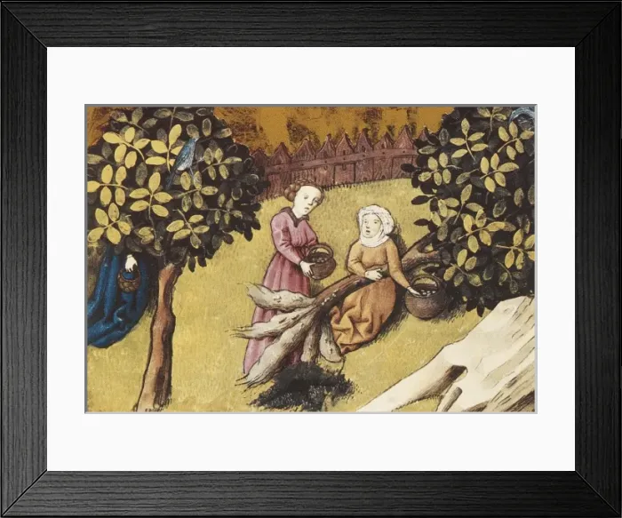 Framed Print : THOMAS of Cantimpr頨1201-1276). Codex Granatensis Framed Print : THOMAS of Cantimpr頨1201-1276). Codex Granatensis
