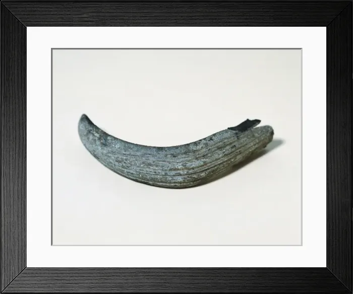 Framed Print : Strigil (1st-3rd AD), found in the Roman villa Framed Print : Strigil (1st-3rd AD), found in the Roman villa