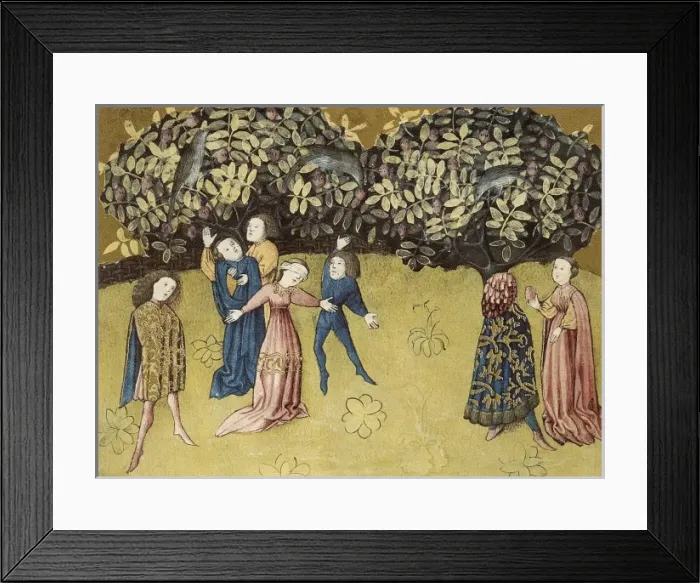 Framed Print : THOMAS of Cantimpr頨1201-1276). Codex Granatensis Framed Print : THOMAS of Cantimpr頨1201-1276). Codex Granatensis