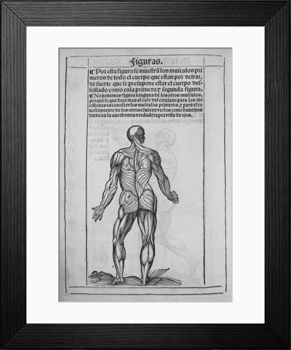 Framed Print : Humans anatomy book. Printed in 1551 in Valladolid Framed Print : Humans anatomy book. Printed in 1551 in Valladolid