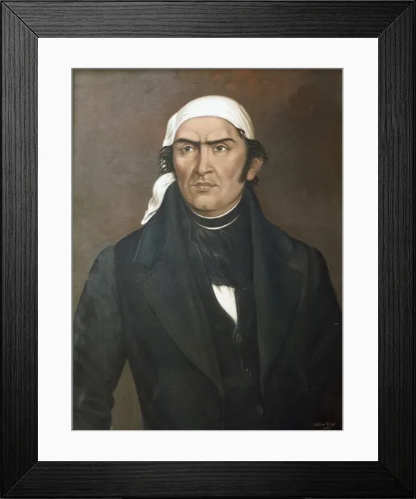 Framed Print : MORELOS Y PAVON, Jos頍ar Framed Print : MORELOS Y PAVON, Jos頍ar