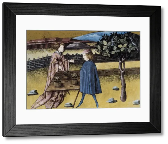 Framed Print : THOMAS of Cantimpr頨1201-1276). Codex Granatensis Framed Print : THOMAS of Cantimpr頨1201-1276). Codex Granatensis