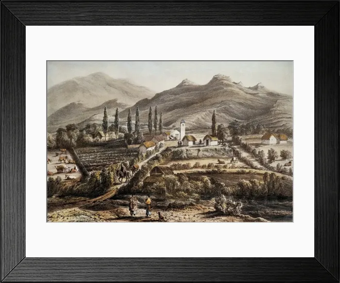 Framed Print : Chile (1837). Cogoti. Litography Framed Print : Chile (1837). Cogoti. Litography