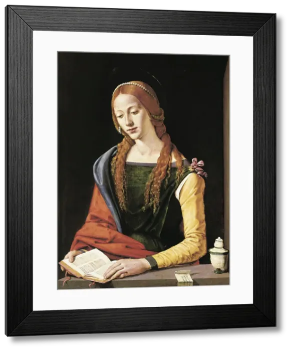 Framed Print : Piero di Cosimo, Pietro di Lorenzo, called (1462-1521) Framed Print : Piero di Cosimo, Pietro di Lorenzo, called (1462-1521)