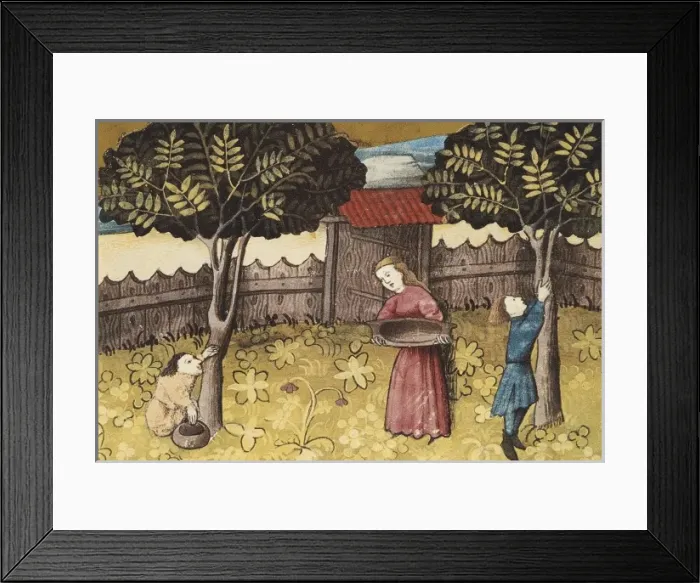 Framed Print : THOMAS of Cantimpr頨1201-1276). Codex Granatensis Framed Print : THOMAS of Cantimpr頨1201-1276). Codex Granatensis