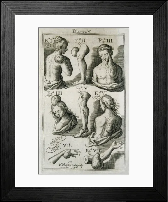 Framed Print : SUREZ de RIBERA, Francisco (s. XVIII). Spanish Framed Print : SUREZ de RIBERA, Francisco (s. XVIII). Spanish