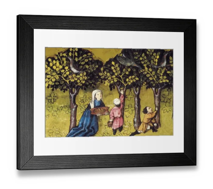 Framed Print : THOMAS of Cantimpr頨1201-1276). Codex Granatensis Framed Print : THOMAS of Cantimpr頨1201-1276). Codex Granatensis