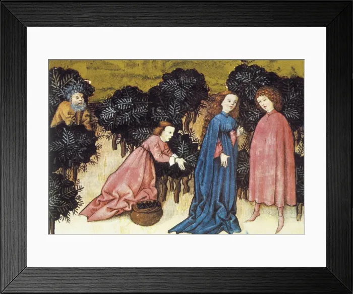 Framed Print : THOMAS of Cantimpr頨1201-1276). Codex Granatensis Framed Print : THOMAS of Cantimpr頨1201-1276). Codex Granatensis