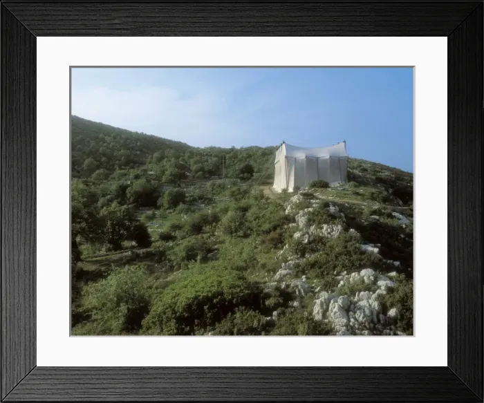 Framed Print : Temple of Apollo Epikourios at Bassae. 450 BC Framed Print : Temple of Apollo Epikourios at Bassae. 450 BC