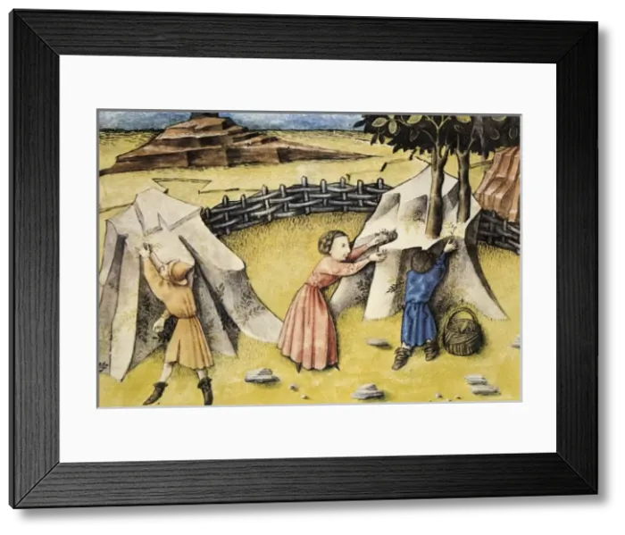 Framed Print : THOMAS of Cantimpr頨1201-1276). Codex Granatensis Framed Print : THOMAS of Cantimpr頨1201-1276). Codex Granatensis