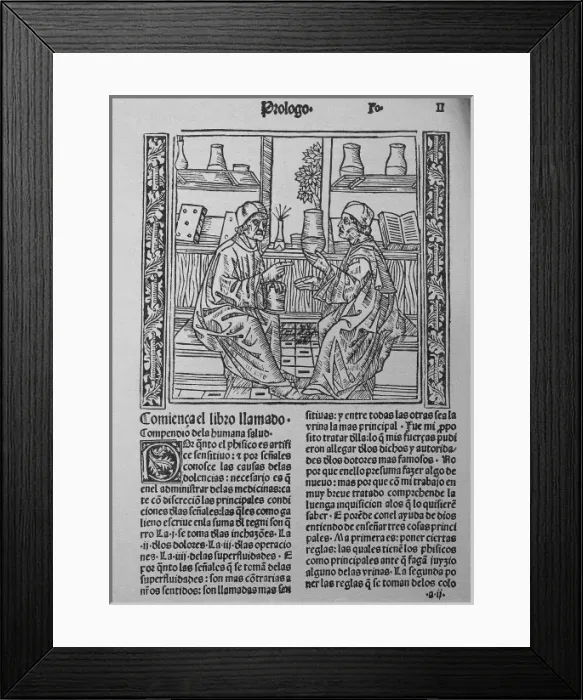 Framed Print : KETHAM, Johannes de (second half 15th century-begin