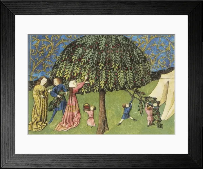 Framed Print : THOMAS of Cantimpr頨1201-1276). Codex Granatensis Framed Print : THOMAS of Cantimpr頨1201-1276). Codex Granatensis