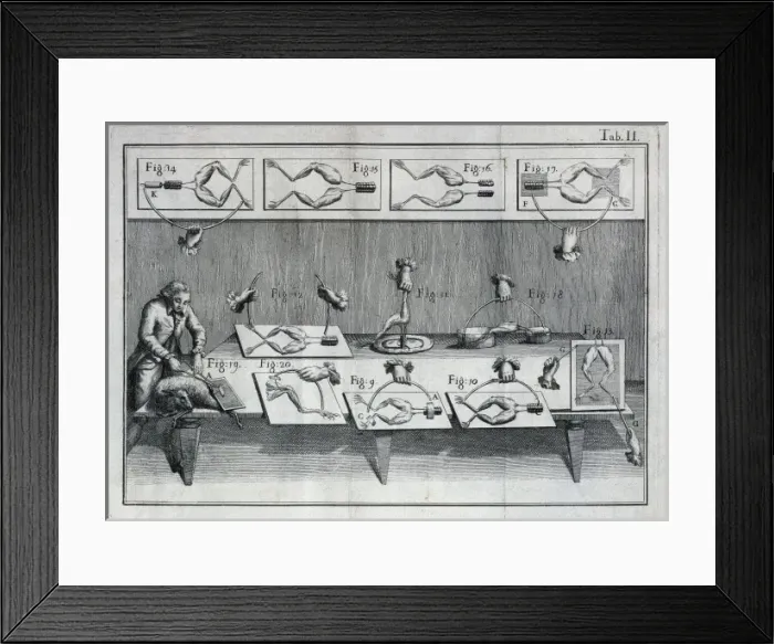 Framed Print : GALVANI, Luigi (1737-1798). Italian physicist Framed Print : GALVANI, Luigi (1737-1798). Italian physicist
