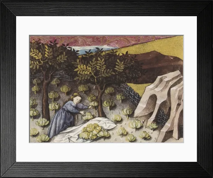 Framed Print : THOMAS of Cantimpr頨1201-1276). Codex Granatensis Framed Print : THOMAS of Cantimpr頨1201-1276). Codex Granatensis