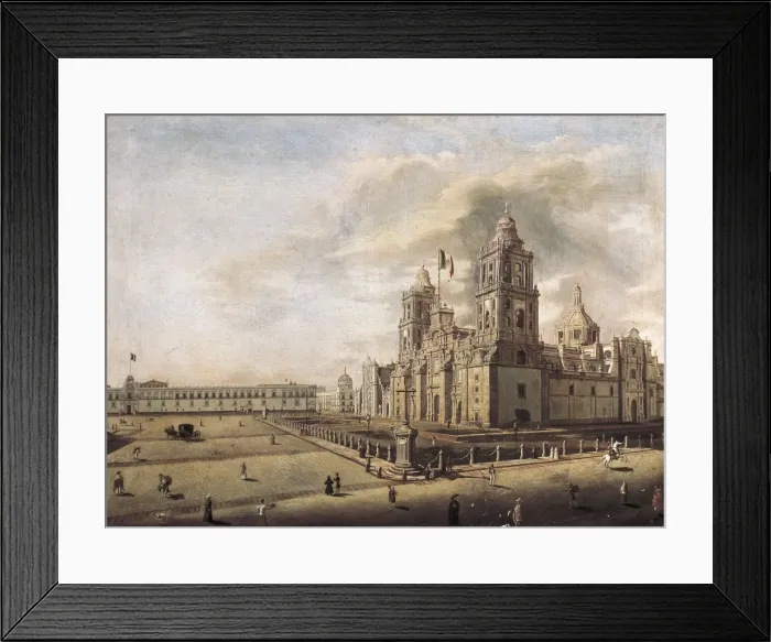 Framed Print : GUALDI, Pedro (1809-1857). The Catedral Metropolitana