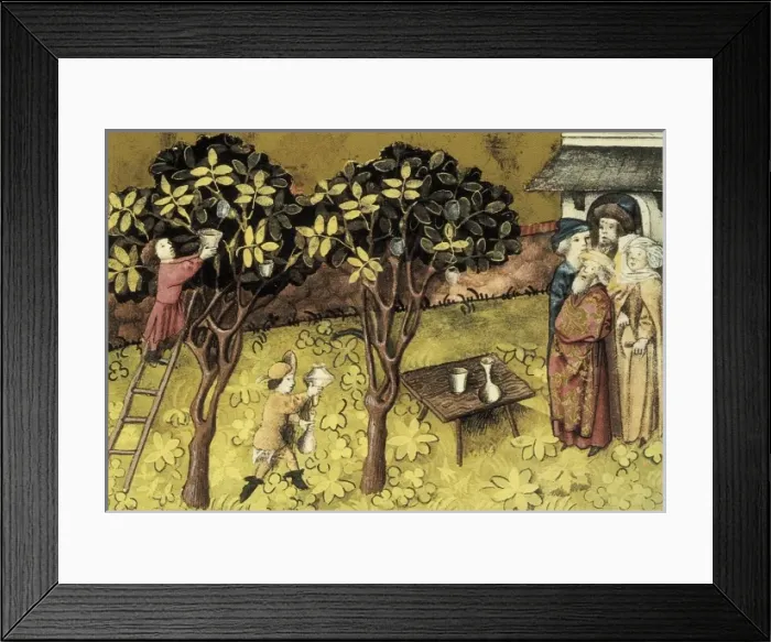 Framed Print : THOMAS of Cantimpr頨1201-1276). Codex Granatensis Framed Print : THOMAS of Cantimpr頨1201-1276). Codex Granatensis