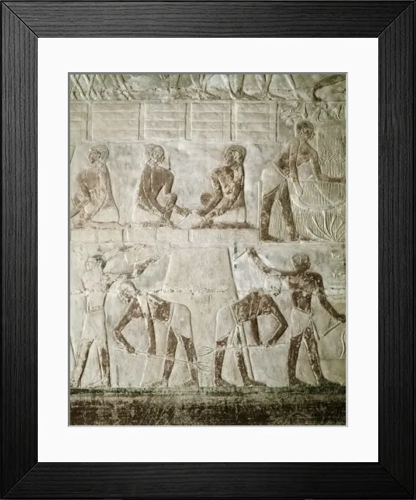 Framed Print : Mastaba of Mereruka. ca. 2323 BC. EGYPT. Saqqara Framed Print : Mastaba of Mereruka. ca. 2323 BC. EGYPT. Saqqara
