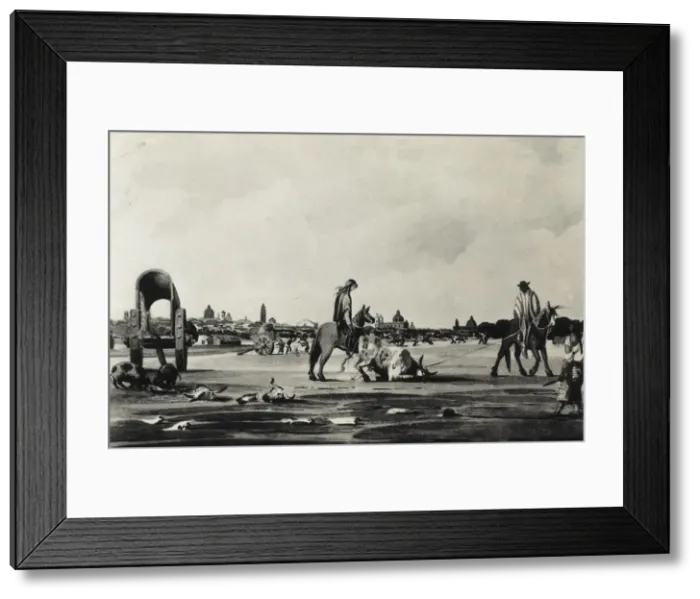 Framed Print : Argentina (19th c. ). Ranchers bringing an animal Framed Print : Argentina (19th c. ). Ranchers bringing an animal
