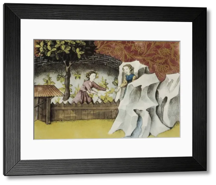 Framed Print : THOMAS of Cantimpr頨1201-1276). Codex Granatensis Framed Print : THOMAS of Cantimpr頨1201-1276). Codex Granatensis