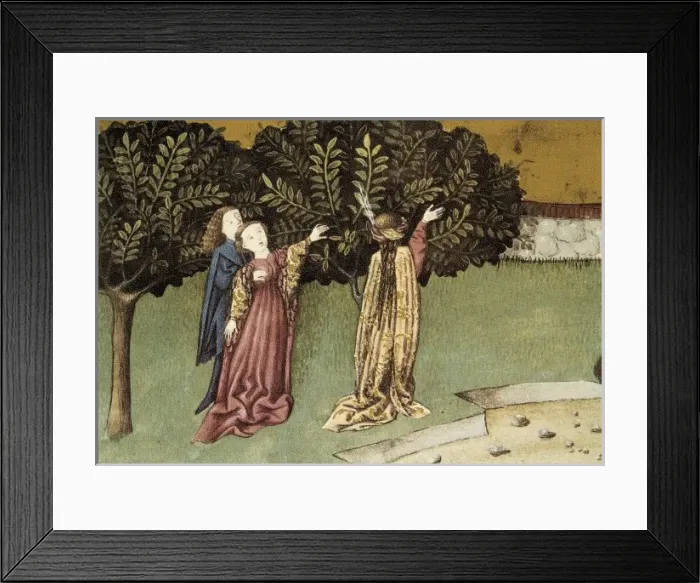 Framed Print : THOMAS of Cantimpr頨1201-1276). Codex Granatensis Framed Print : THOMAS of Cantimpr頨1201-1276). Codex Granatensis