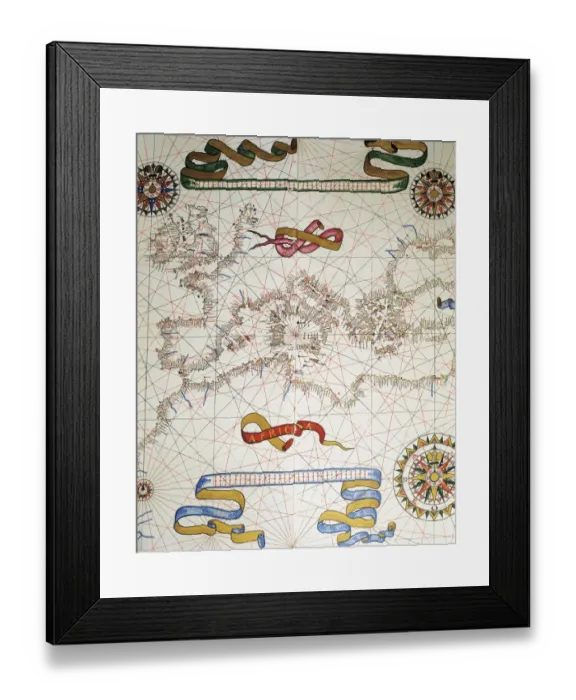 Framed Print : Terra Brasilis (Brazil). Miniature painting by Framed Print : Terra Brasilis (Brazil). Miniature painting by