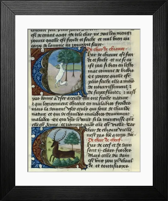 Framed Print : Treatise on Medicine by Aldebrando de Firenze Framed Print : Treatise on Medicine by Aldebrando de Firenze