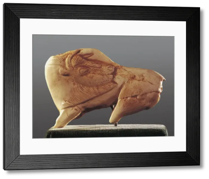 Framed Print : Bison turning the head. 15th-10th mil. BC. Copy Framed Print : Bison turning the head. 15th-10th mil. BC. Copy