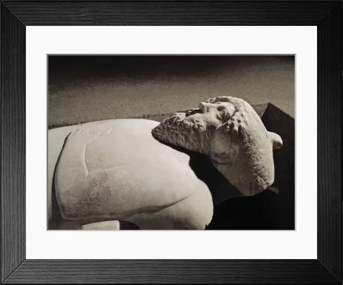 Framed Print : Anthropoid Sarcophagus. 4th c. BC. Detail. Phoenician Framed Print : Anthropoid Sarcophagus. 4th c. BC. Detail. Phoenician