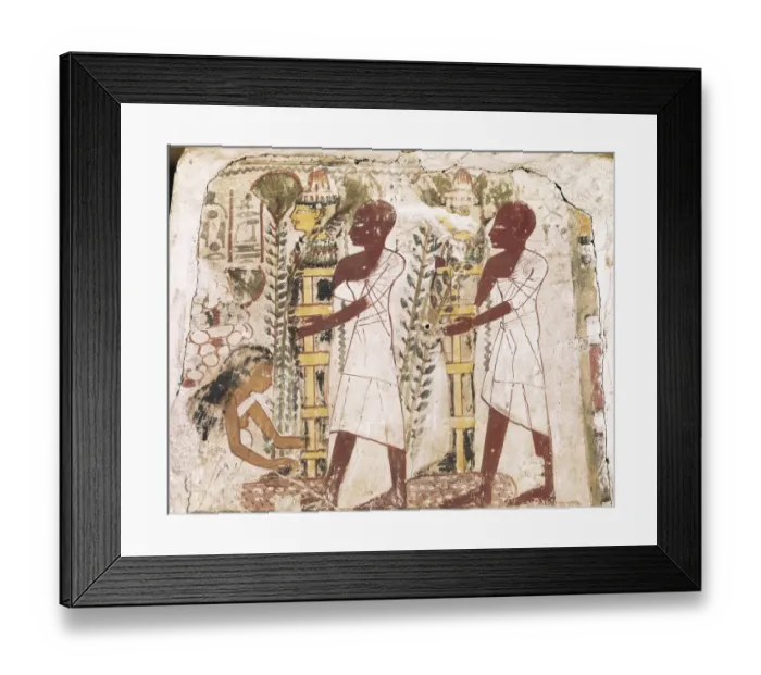 Framed Print : Preparation of the mummies for the purification Framed Print : Preparation of the mummies for the purification