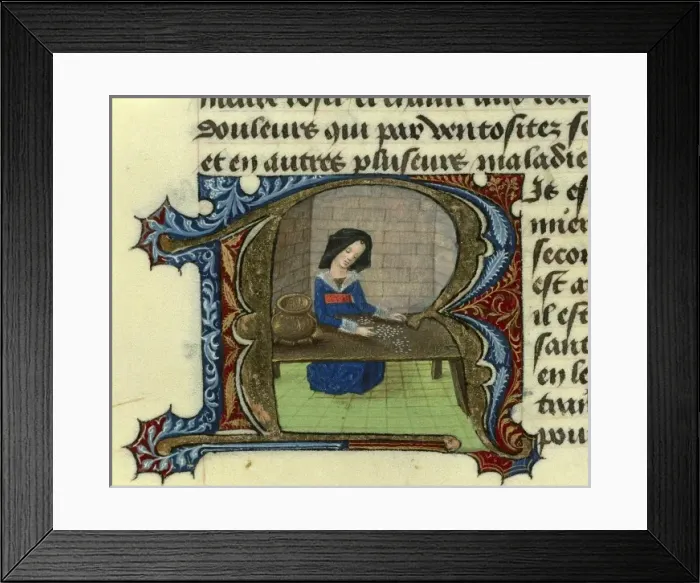Framed Print : Treatise of Medicine of Aldebrando da Firenze Framed Print : Treatise of Medicine of Aldebrando da Firenze