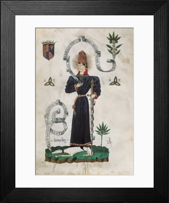 Framed Print : CHARLES IV, prince of Viana (1421-1461). Son Framed Print : CHARLES IV, prince of Viana (1421-1461). Son
