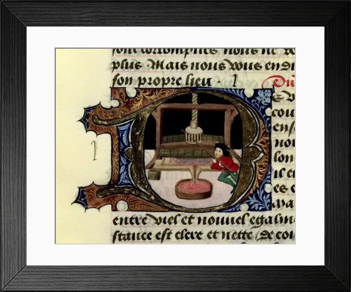 Framed Print : Treatise on medicine (1356) by Aldebrando de