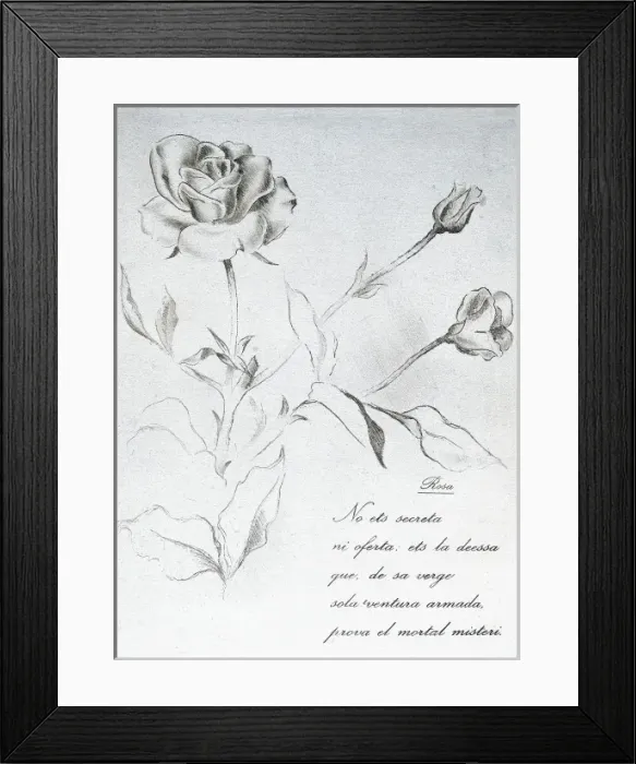 Framed Print : RIBA, Carles (1893-1959). Spanish writer in Catalan Framed Print : RIBA, Carles (1893-1959). Spanish writer in Catalan