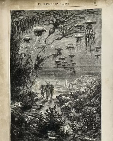 VERNE, Jules (1828-1905). Illustration of 20000