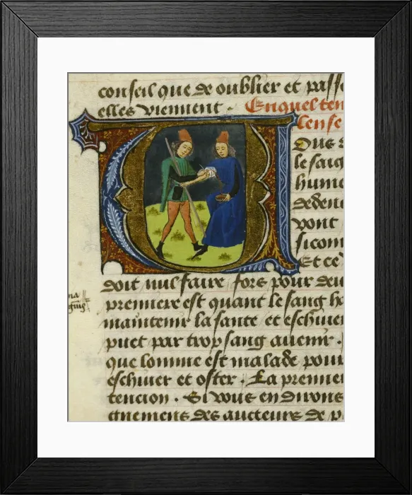 Framed Print : Treatise on Medicine by Aldebrando da Firenze Framed Print : Treatise on Medicine by Aldebrando da Firenze