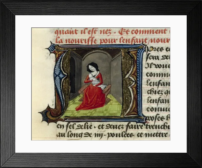Framed Print : Treatise on medicine (1356) by Aldebrando de Framed Print : Treatise on medicine (1356) by Aldebrando de
