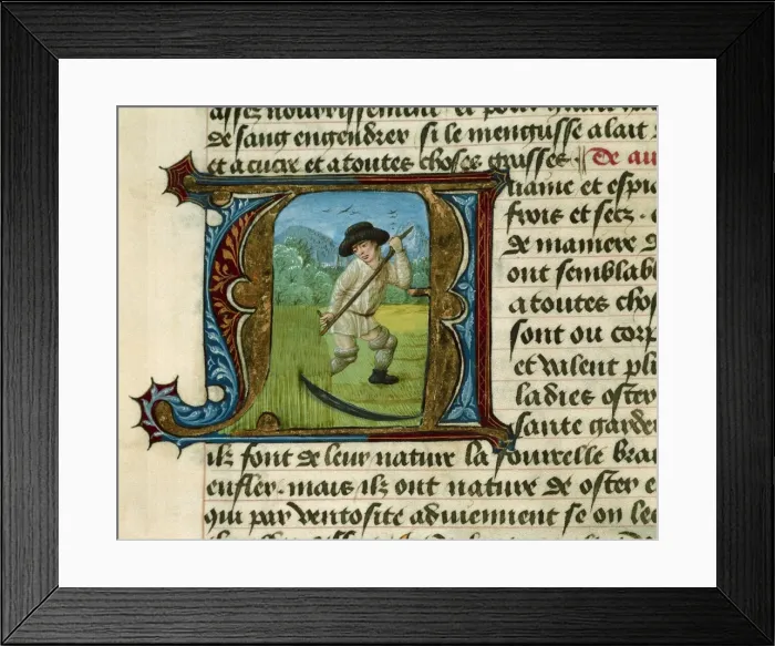 Framed Print : FIRENZE, Aldebrando da (14th century). Treatise Framed Print : FIRENZE, Aldebrando da (14th century). Treatise
