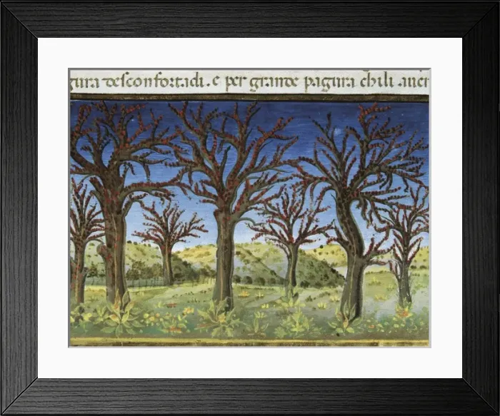 Framed Print : DE PREDIS, Cristoforo (1440-1486). Stories of Framed Print : DE PREDIS, Cristoforo (1440-1486). Stories of
