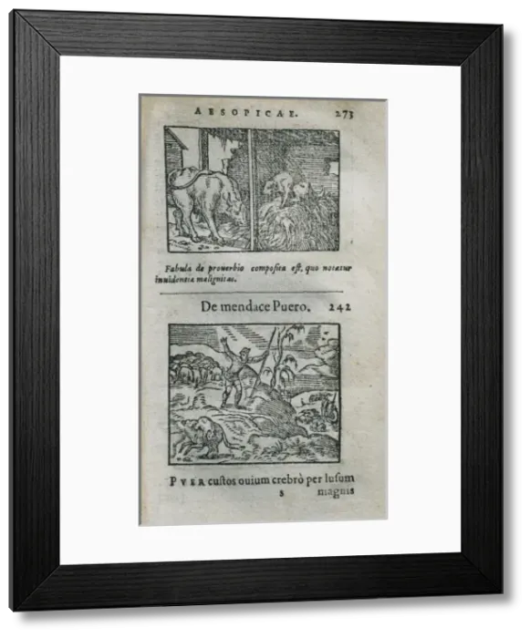 Framed Print : ESOPUS (650-560 BC). Greek fabulist. Fables Framed Print : ESOPUS (650-560 BC). Greek fabulist. Fables