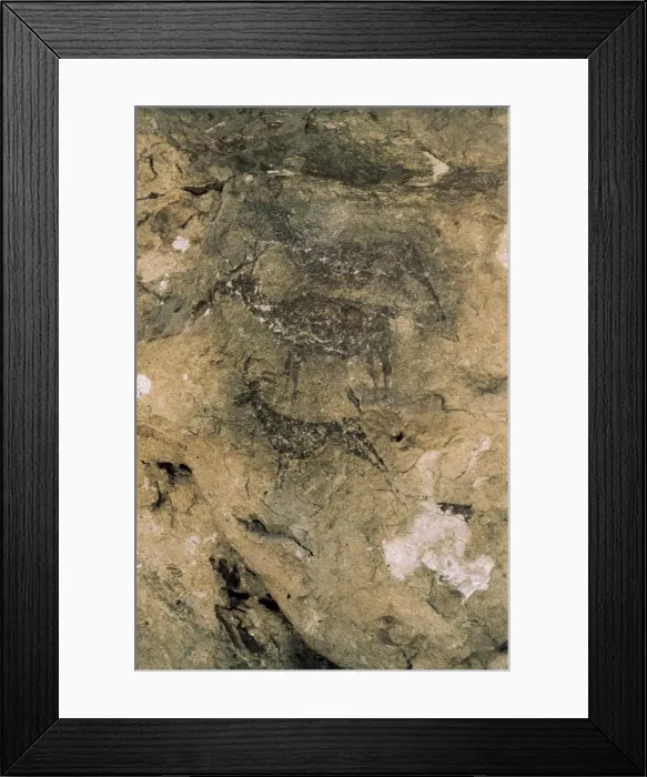 Framed Print : SPAIN. Bicorp. La Araave. Deers and goats Framed Print : SPAIN. Bicorp. La Araave. Deers and goats