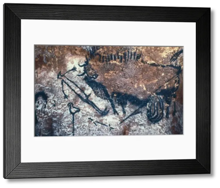 Framed Print : FRANCE. Montignac. The Cave of Lascaux. Fighting
